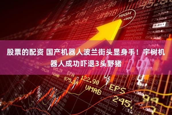 股票的配资 国产机器人波兰街头显身手！宇树机器人成功吓退3头野猪