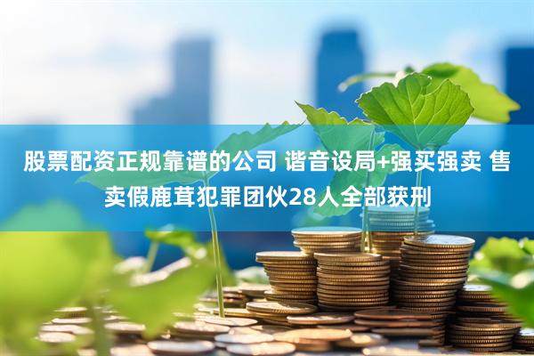 股票配资正规靠谱的公司 谐音设局+强买强卖 售卖假鹿茸犯罪团伙28人全部获刑